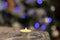 A burning candle against the background of a New Year tree