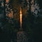 Burning candle illuminates eerie forest, embodying esoteric mystique