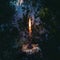 Burning candle illuminates eerie forest, embodying esoteric mystique