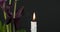 Burning candle and purple Calla lily sepals in the darkness