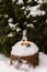 Burning candle on snow-covered stump in the open air