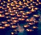 Burning candles in Buddhist temple. McLeod Ganj, Himachal Prades