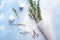 Burning candles with eucalyptus branches and parchment on color background