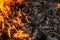 Burning coals at night  rotting coal  barbecue season. Close-up