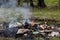 Burning domestic garbage, household waste in a fire in the forest. The problem of garbage collection and garbage removal