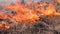 A burning field against a clear blue sky. Burning old dry last year\'s grass. A lot of smoke rises from the burning grass. Accident