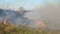 Burning field. Burning old dry last year`s grass. Dry grass in flame and smoke while burning forest fire at dry season