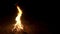 Burning fire. Bonfire. Closeup of flames burni