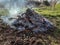 burning fire after burning wood from the garden from the forest ba meadow smoke fire pile of ash