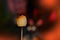 burning fire in compact grill, wood logs engulfed in red flames, closeup of fry marshmallows on fire, smoke rises, concept of fun