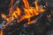 Burning fire in fireplace, bright orange flame on dark charred wood, burning firewood in small bonfire, close-up