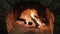 Burning Fire In The Fireplace. Wood And Embers In The Fireplace Detailed fire background. A looping clip of a fireplace