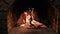 Burning Fire In The Fireplace. Wood And Embers In The Fireplace Detailed fire background. A looping clip of a fireplace