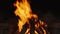 Burning fire flame closeup in fireplace