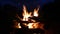Burning Fire in natural fireplace in HD VIDEO. Branches of conifer tree burns in wild flames
