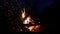 Burning Fire in natural fireplace in HD VIDEO. Branches of conifer tree burns in wild flames