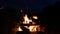 Burning Fire in natural fireplace in HD VIDEO. Branches of conifer tree burns in wild flames of natural bonfire on the meadow