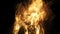 Burning Fire in natural fireplace in SLOW MOTION HD VIDEO. Branches of conifer tree burns in wild flames