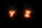 Burning font y, z, fire word text with flame and smoke on black background, concept of fire heat alphabet decoration