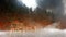 Burning forest in Siberia, animation
