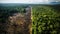 Burning Forests: The Devastating Impact of Deforestation. Generative AI