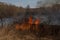 Burning grass in the dry field. The fire reached the fence of a private house plot