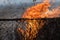 Burning grass in the dry field. The fire reached the fence of a private house plot