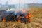 Burning  grass on the field. There is a danger and a fire hazard for the nearby forest and buildings. Rapid flame spread