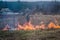 Burning grass on the field in village. Burning dry grass in fields. Wild fire due to hot windy weather in summer