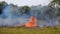 Burning grass. large flames and smoke. fire damages the environment.