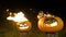 Burning halloween pumpkins on tree log in darkness, field, mist, dusk. Scary funny angry big orange pumpkin exhales fire