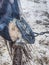 Burning hoof. Farrier placing hot horseshoe