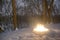 Burning hot fire surrounded by snow in wooded area.