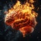 burning human brain on fire on black isolated background