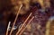 Burning incense sticks with smoke over dark background