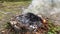 Burning leaf leaves garbage trash in fire pit bonfire