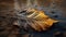 Burning leaf on parched earth vs lush leaf by river, symbolizing global warming\\\'s