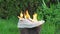 Burning leather sports shoes. Sneakers or gym shoes on fire stand on the Stump.