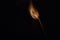 Burning matchstick on black background