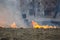 Burning old, dry grass field in the spring, Firefighters work