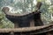 Burning paper in stupa stone with dust and smoke