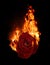 Burning red rose, dark atmospheric mood, fantasy background