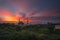 Burning Sky at the Federal Mosque of Kuala Lumpur