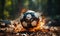 Burning soccer ball on field background.