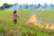 Burning straw stubble farmers when the harvest is complete.