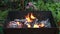 Burning wood in a brazier. Fire, flames. Grill or barbecue