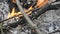 Burning wood, campfire macro video. Hot fireplace full of wood