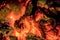 Burning wood embers in close-up. Abstract fire background image