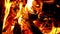 Burning wood in the fire, a fire at night in the camp.Flames close up, hot coals of burned wood.