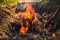 Burning Wood with smoke. Close up of woods burning in fire place